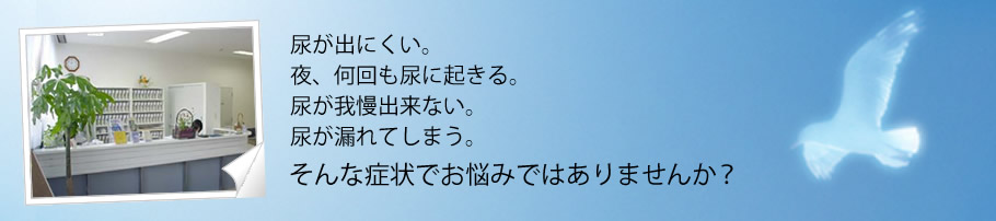 尿が出にくい。夜、何回も尿に起きる。尿が我慢出来ない。尿が漏れてしまう。そんな症状でお悩みではありませんか？